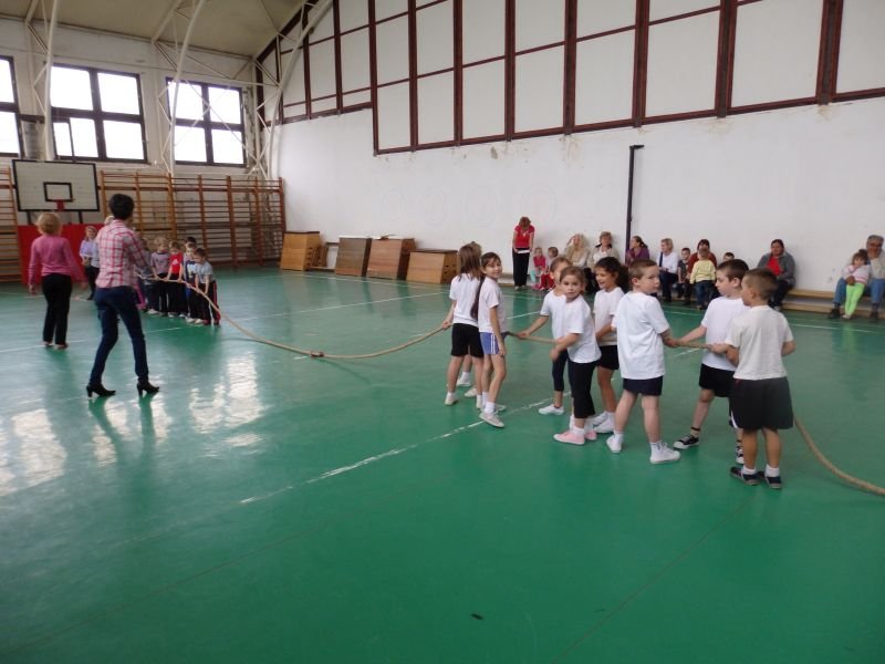 Ovi-suli sportverseny