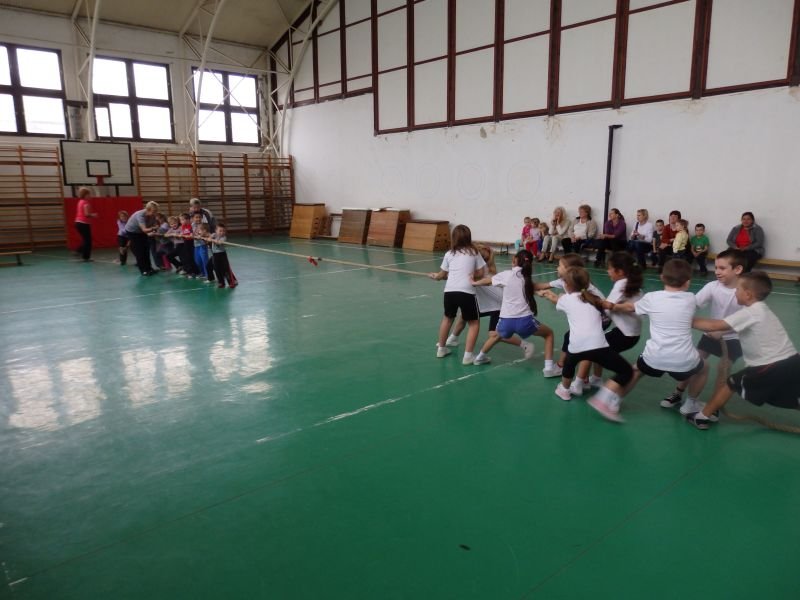 Ovi-suli sportverseny