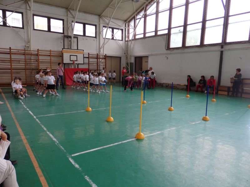 Ovi-suli sportverseny