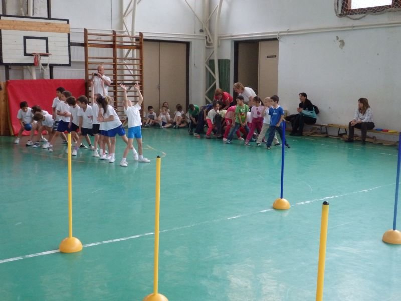 Ovi-suli sportverseny