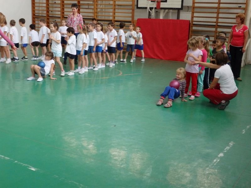 Ovi-suli sportverseny