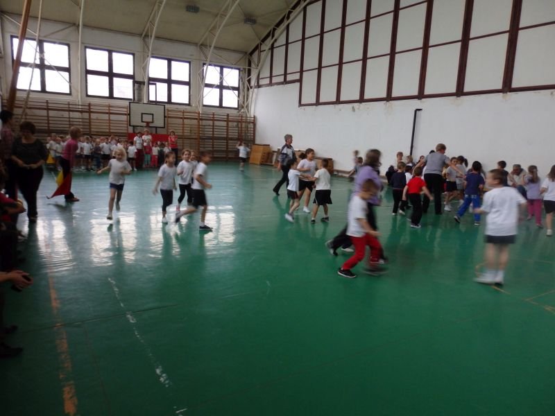 Ovi-suli sportverseny