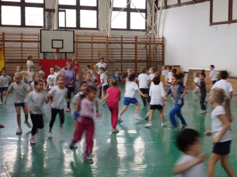Ovi-suli sportverseny