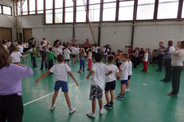 Ovi-suli sportverseny