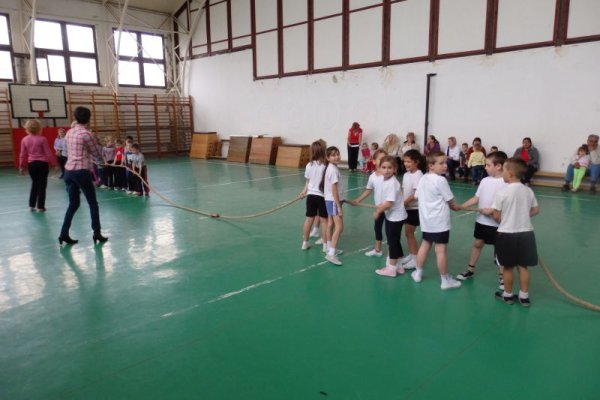 Ovi-suli sportverseny