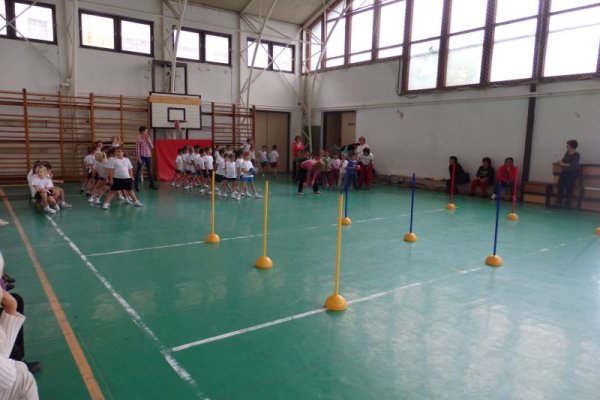 Ovi-suli sportverseny