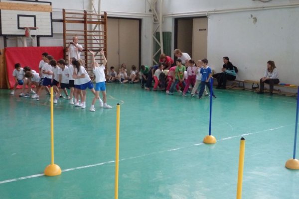 Ovi-suli sportverseny