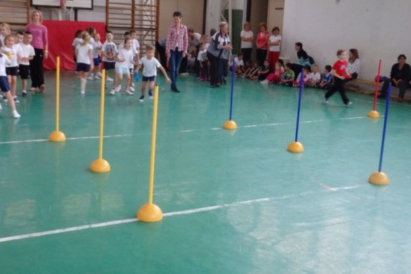 Ovi-suli sportverseny