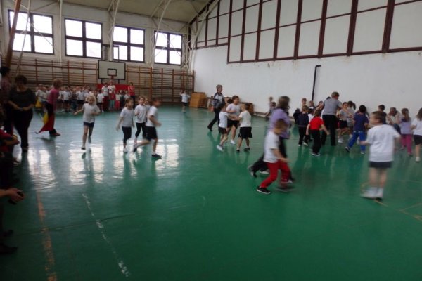 Ovi-suli sportverseny